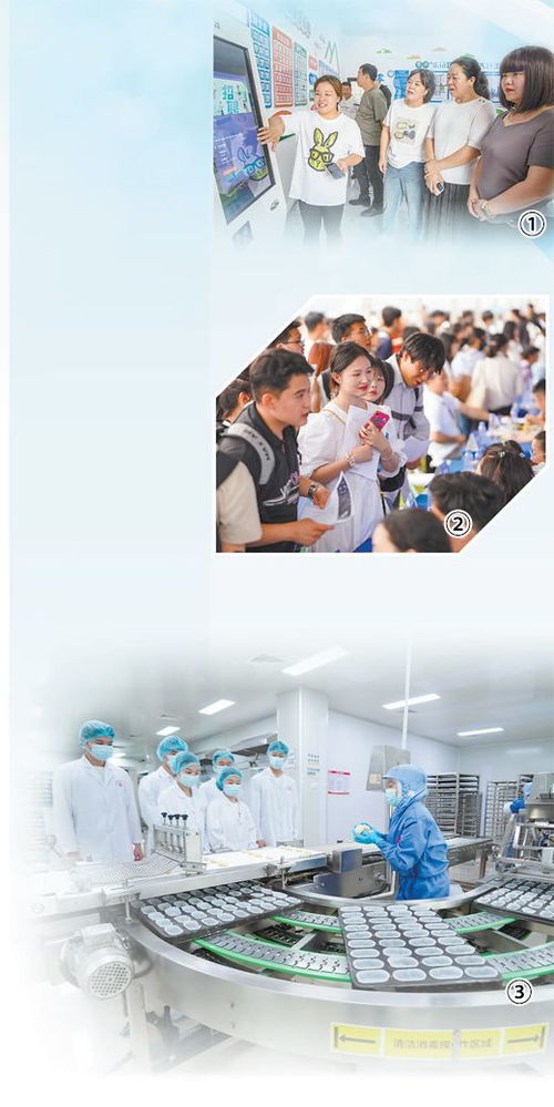 促进高质量充分就业 民生一线观察与礼仪修养的价值